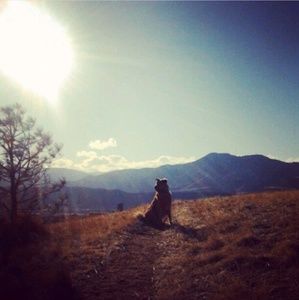 Meet your Posher, Ambur